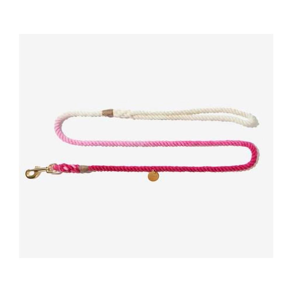 Found My Animal Pink Ombre 7 Foot Rope Adjustable Dog Leash L90220 Size Medium
